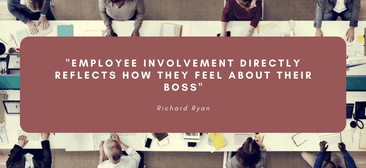What is employee involvement? And what are the 5 important factors?